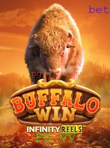 BuffaloWin: Dominando a Savana com PG VV